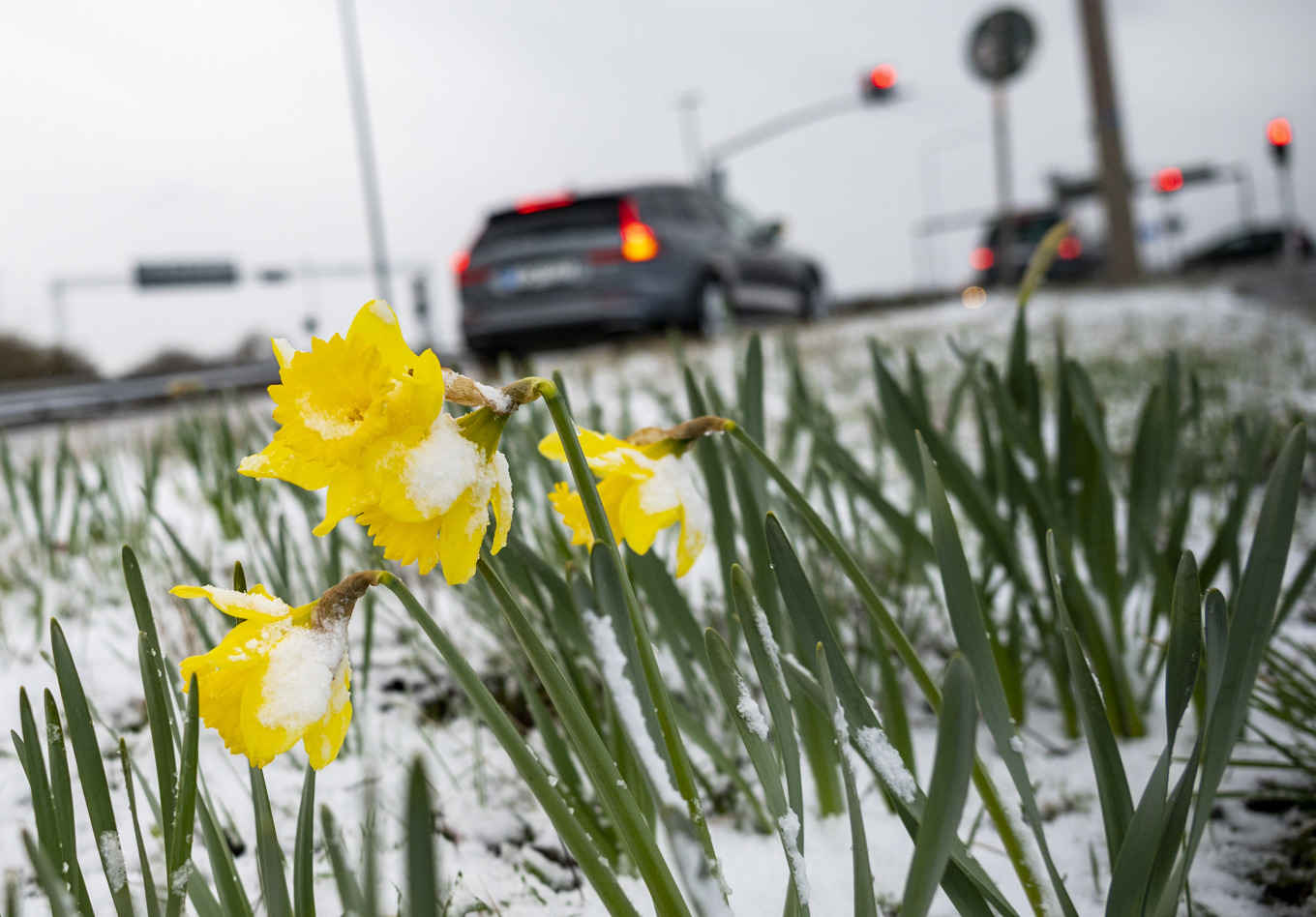 Skärtorsdagen brukar vara en intensiv dag på vägarna. Arkivbild. Foto: Johan Nilsson/TT