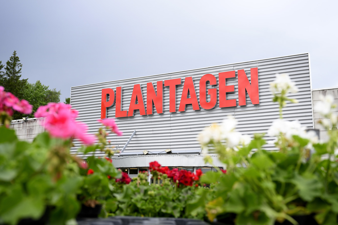Delårsrapport från Plantagen-ägaren Ratos. Arkivbild Foto: Jessica Gow