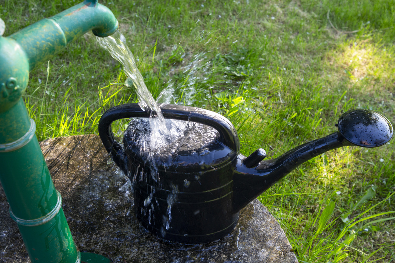 Grundvattennivåerna ligger på många håll i Sverige långt under det normala för årstiden. Arkivbild. Foto: Martina Holmberg / TT