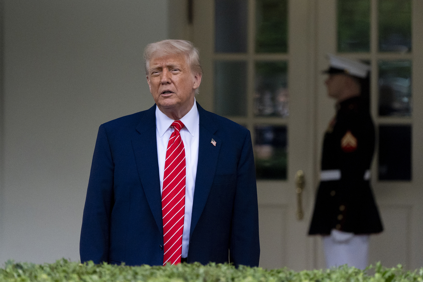 President Donald Trump. Foto: Alex Brandon/AP/TT