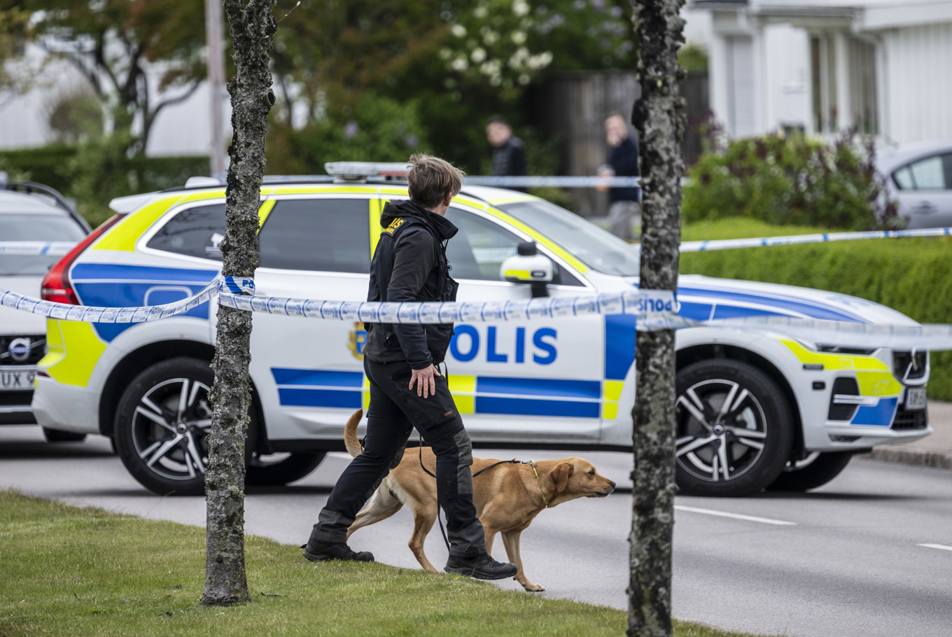 Polis, specialsökhund och kriminaltekniker på plats Klippan. Foto: Johan Nilsson/TT