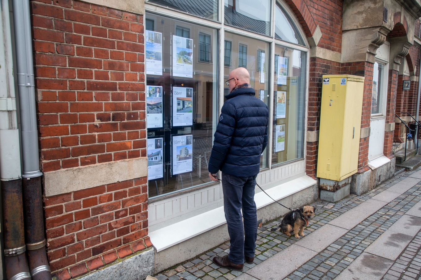 En man med hund tittar på bostadsannonser i ett fönster i Simrishamn. Arkivbild. Foto: Martina Holmberg / TT