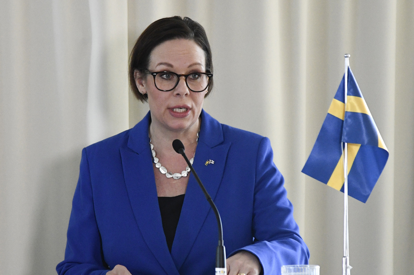 Utrikesminister Maria Malmer Stenergard. Foto: Lars Schröder/TT