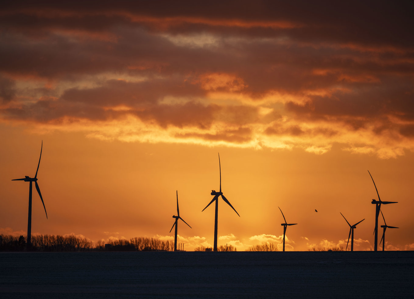 Under förra året nekades tillstånd för många vindkraftsprojekt. Arkivbild. Foto: Johan Nilsson/TT