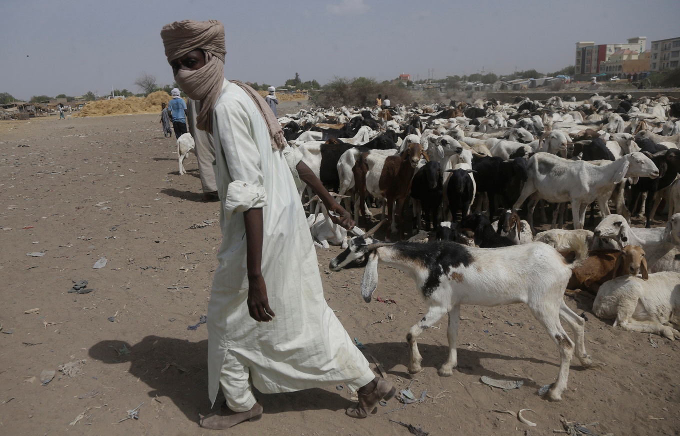 Motsättningar mellan lokala bosättare och nomadgrupper leder stundtals till svåra oroligheter i Tchad. Arkivbild. Foto: Sunday Alamba/AP/TT