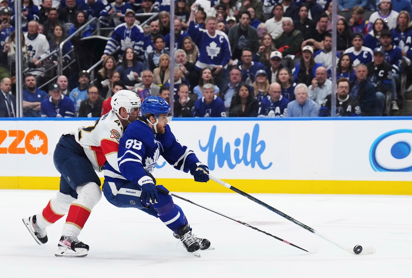 William Nylander, till höger, kämpar om pucken i ett av de tidigare kvartsfinalmötena mellan Toronto och Florida. Arkivbild. Foto: Nathan Denette/AP/TT