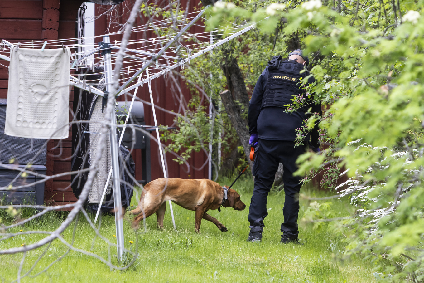 Polisen spärrade av ett stort område kring en bostad i Borlänge för att kunna genomföra en teknisk undersökning efter larm om grovt våldsbrott. Foto: Henrik Hansson/TT