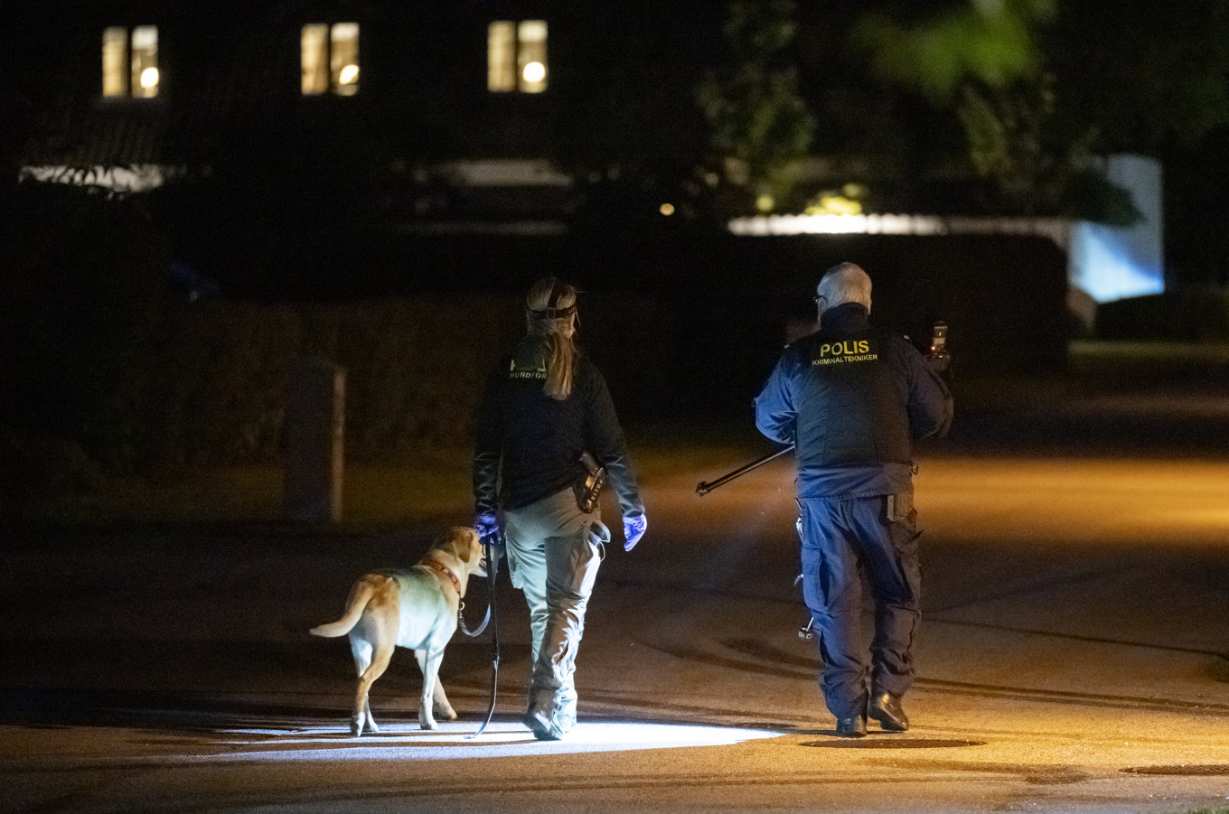 Polisens hundförare har larmat om att hundarna mår dåligt under transport. Arkivbild. Foto: Johan Nilsson/TT
