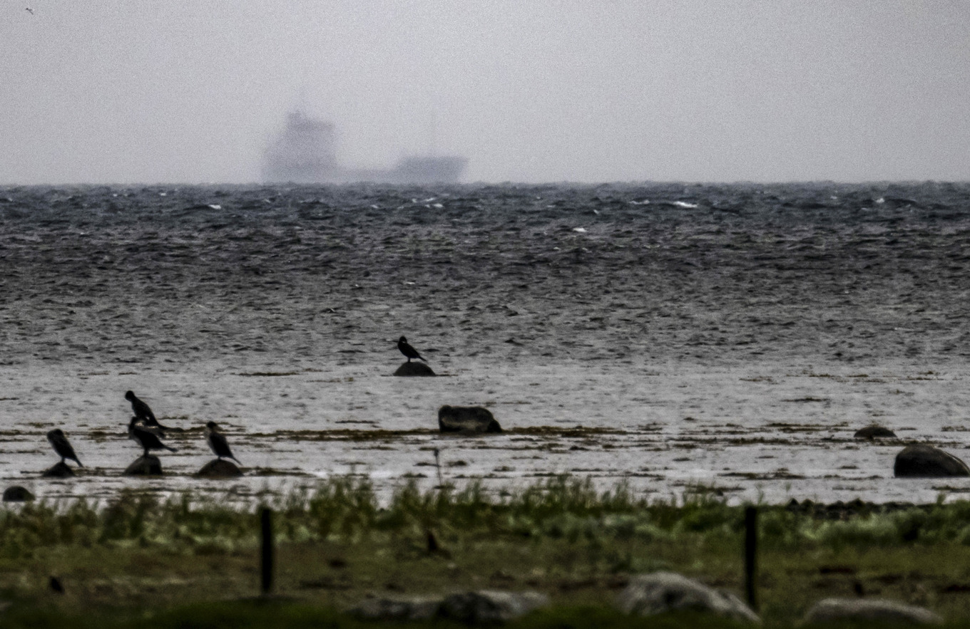 Det grundstötta fartyget skymtar som en skugga i regn och dis i farleden utanför Klagshamn söder om Öresundsbron. Foto: Johan Nilsson / TT