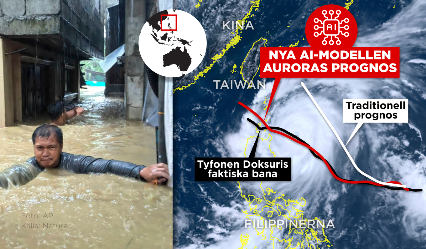 Den nya AI-modellen Aurora har visat sig vara bättre på att beräkna tyfoners framfart. Här syns Auroras prognos (i rött) jämfört med en traditionell prognos (vitt) med den faktiska banan (svart) med 2023 års supertyfon Doksuris. Foto: Anders Humlebo/TT