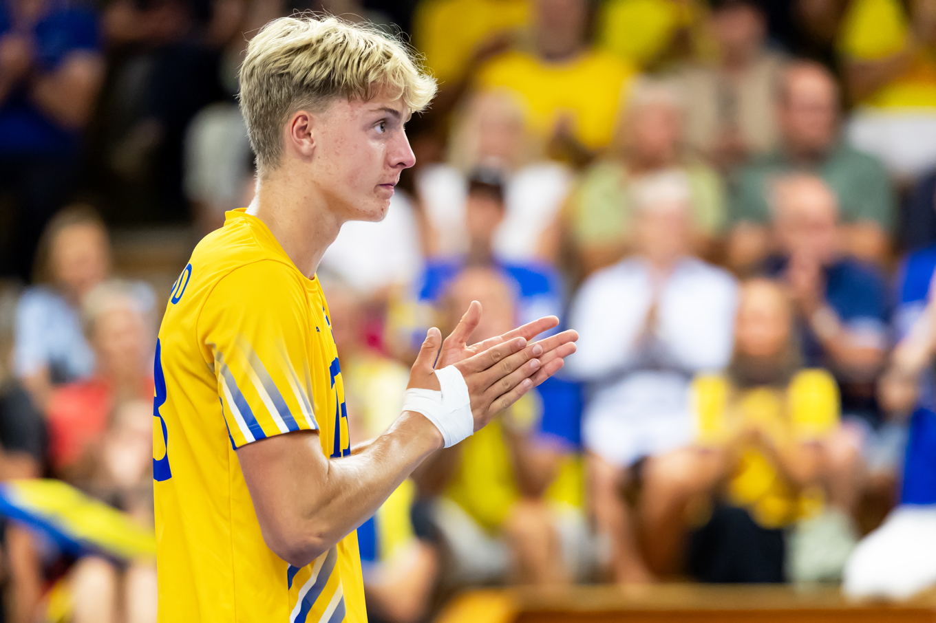 Axel Enlund. Foto: Robert Boman/Svenska Volleybollförbundet.