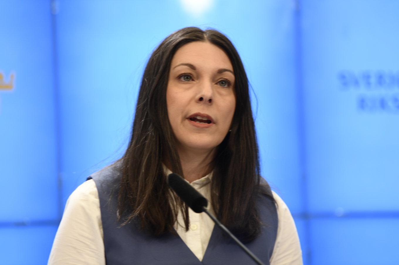 Socialdemokraternas rättspolitiska talesperson Teresa Carvalho. Arkivbild. Foto: Lars Schröder/TT