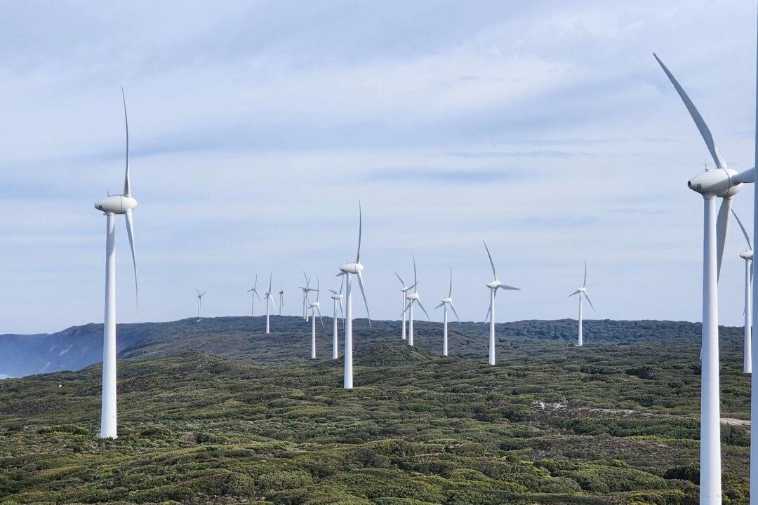 En stor vindkraftssatsning på Australiens östkust stoppas. På bilden en färdig anläggning i Albany, i sydvästra Australien. Foto: Susan Mortimer