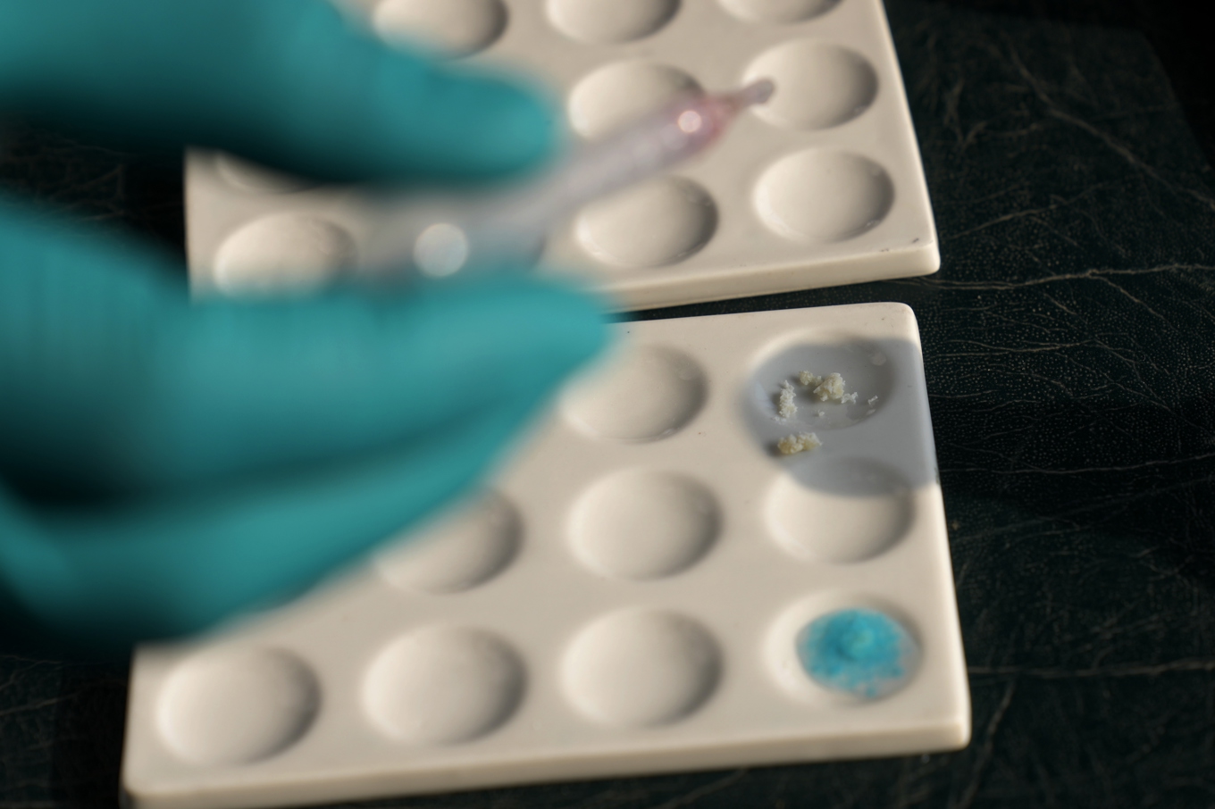 Arkivbild på beslagtaget kokain som testas. Foto: Martin Mejia/AP/TT