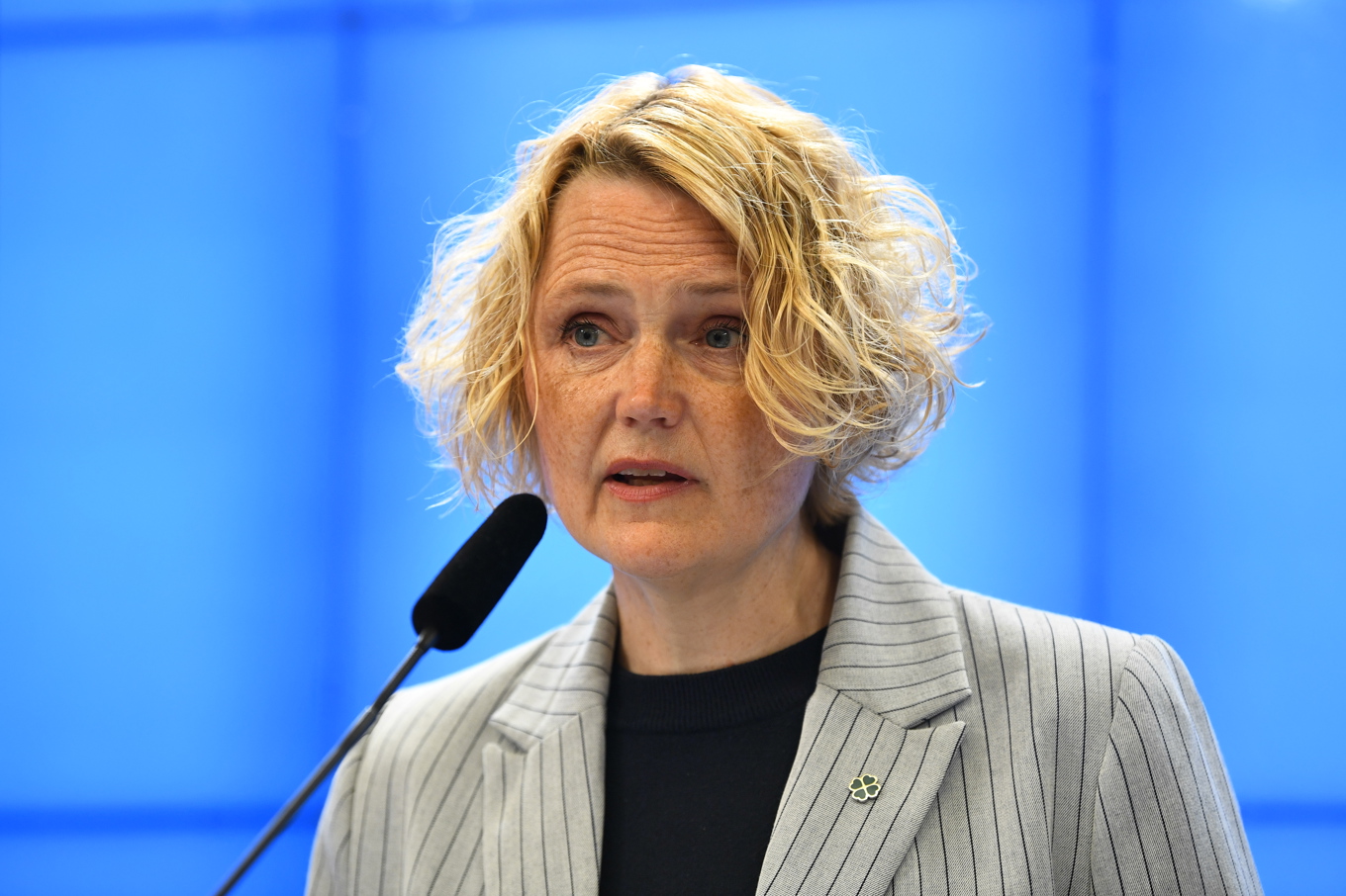 Centerledaren Anna-Karin Hatt (C) vill göra det lättare för företag att verka i Sverige genom att "rensa upp i regelkrånglet". Foto: Lars Schröder/TT