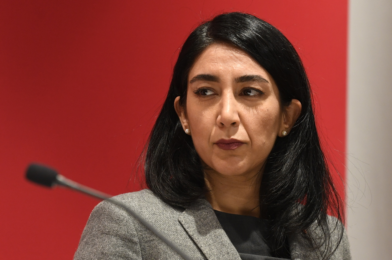 Lawen Redar (S) välkomnar den nya utredningen för kulturpengar från privata aktörer, men kritiserar regeringen för att inte ta vara på kulturen i offentliga verksamheter. Arkivbild. Foto: Jakob Åkersten Brodén/TT