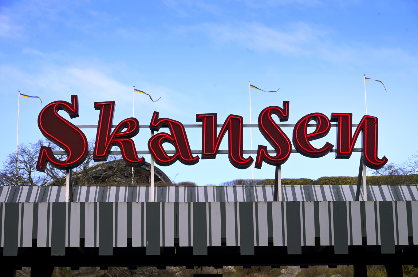 Skansen i Stockholm är Sveriges mest besökta museum. Under 2024 ökade besöken på Sveriges museer med nästan 5 procent. Foto: Janerik Henriksson/TT