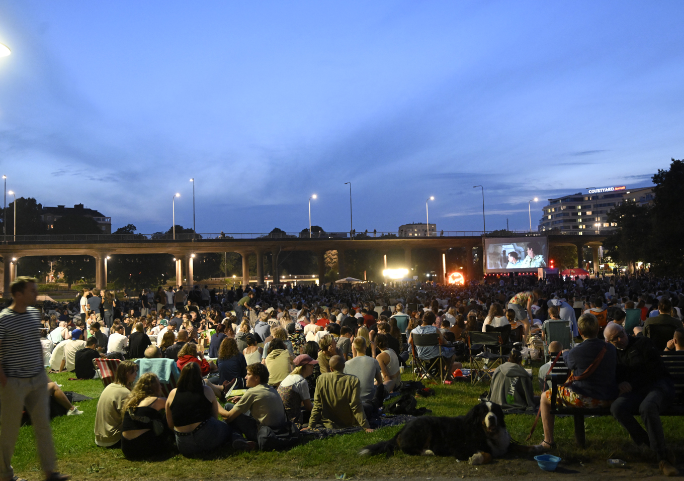 Stockholms Filmfestival sommarbio smygstartar i sommar med en visning på vatten och fortsätter sedan på land i Rålambshovsparken. Arkivbild. Foto: Fredrik Sandberg/TT