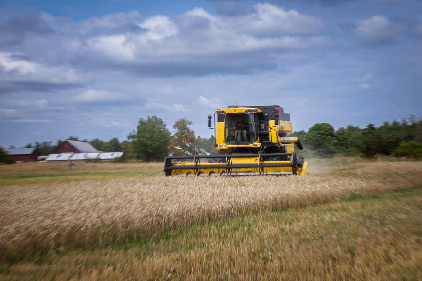 Sveriges lantbruk har fått ett nytt kollektivavtal. Arkivbild. Foto: Magnus Lejhall/TT
