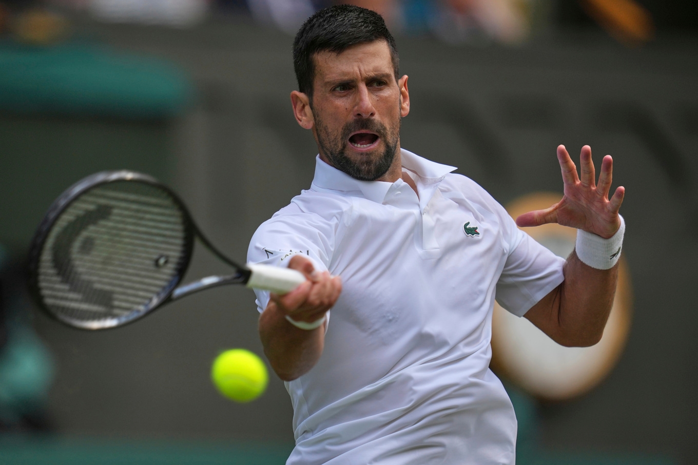 Novak Djokovic är vidare till kvartsfinal i Wimbledon. Foto: Kin Cheung/AP/TT