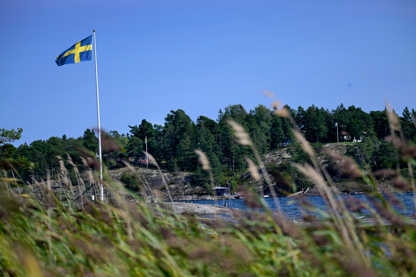 Opinionschefen undrar om det inte är dags att ett nytt parti som kan bli en röst för landsbygden. Foto: Janerik Henriksson/TT