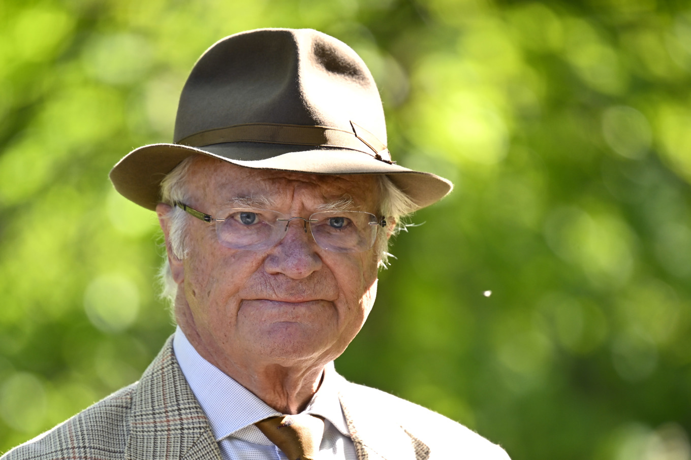 Kung Carl Gustaf höjer avgifterna för de boende på Djurgården. Arkivbild. Foto: Anders Wiklund/TT