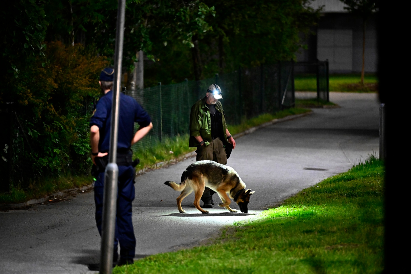 Polis på plats med hundförare i Vårby i Huddinge söder om Stockholm efter att en man skjutits på fredagskvällen. Foto: Anders Wiklund/TT