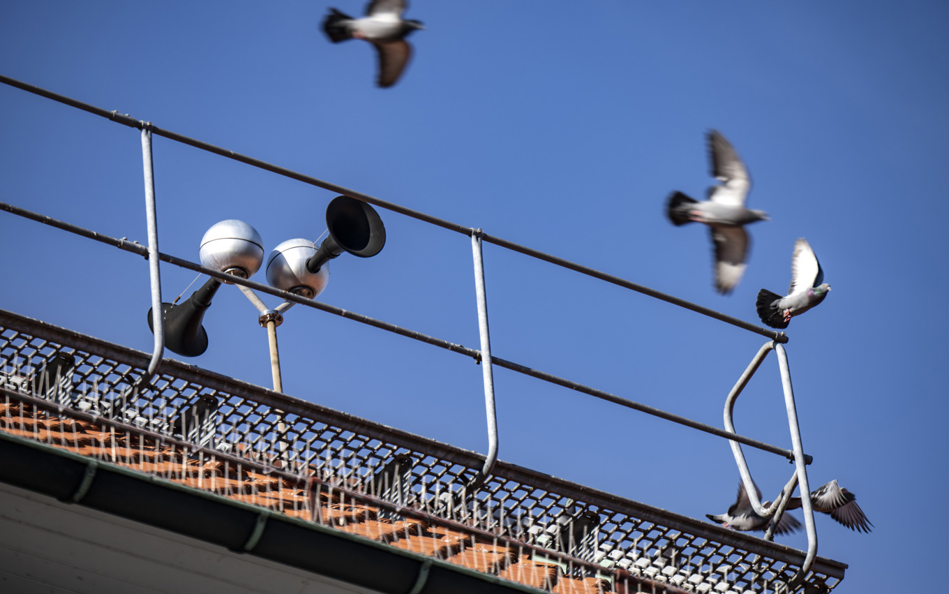 Flera "Hesa Fredrik"-tyfoner har stulits i Dalarna. Arkivbild. Foto: Johan Nilsson/TT