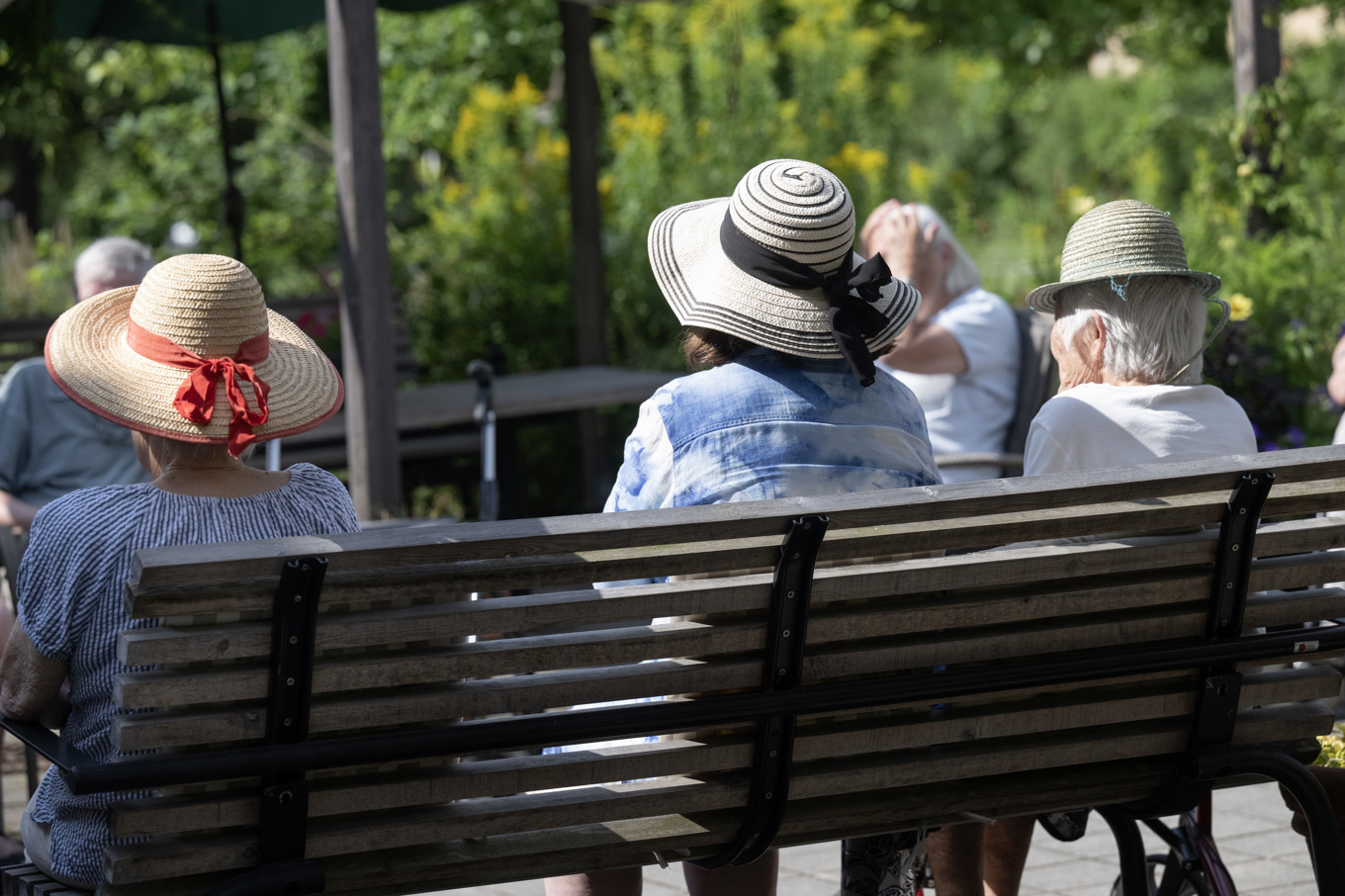 Bara omkring hälften av landets särskilda boenden för äldre har en egen trädgård, visar en ny avhandling. Foto: Fredrik Sandberg/TT