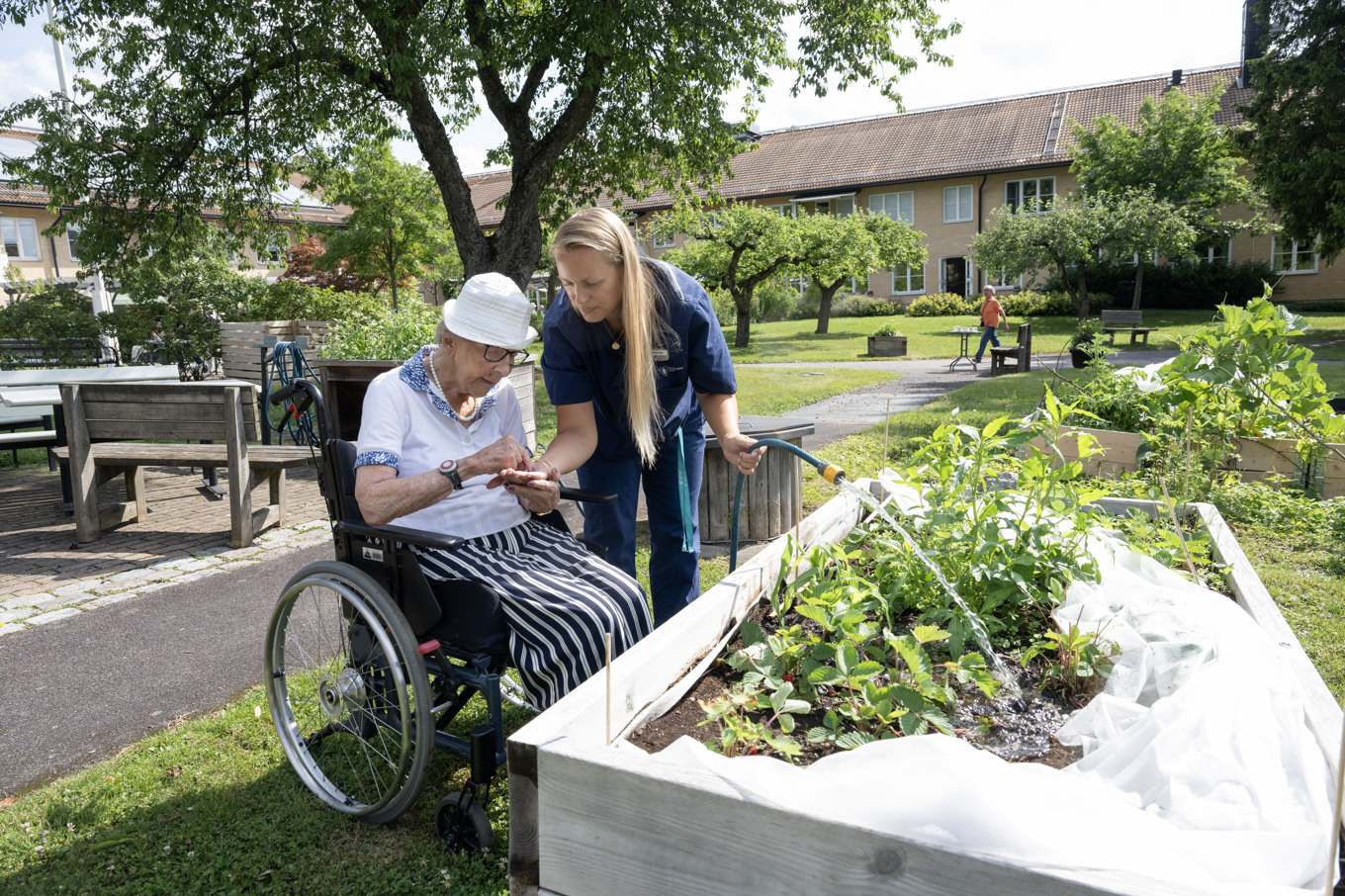 Ingrid Rubank smakar ett smultron från en plantering i en pallkrage tillsammans med samordnaren Caroline Nilsson. Foto: Fredrik Sandberg/TT