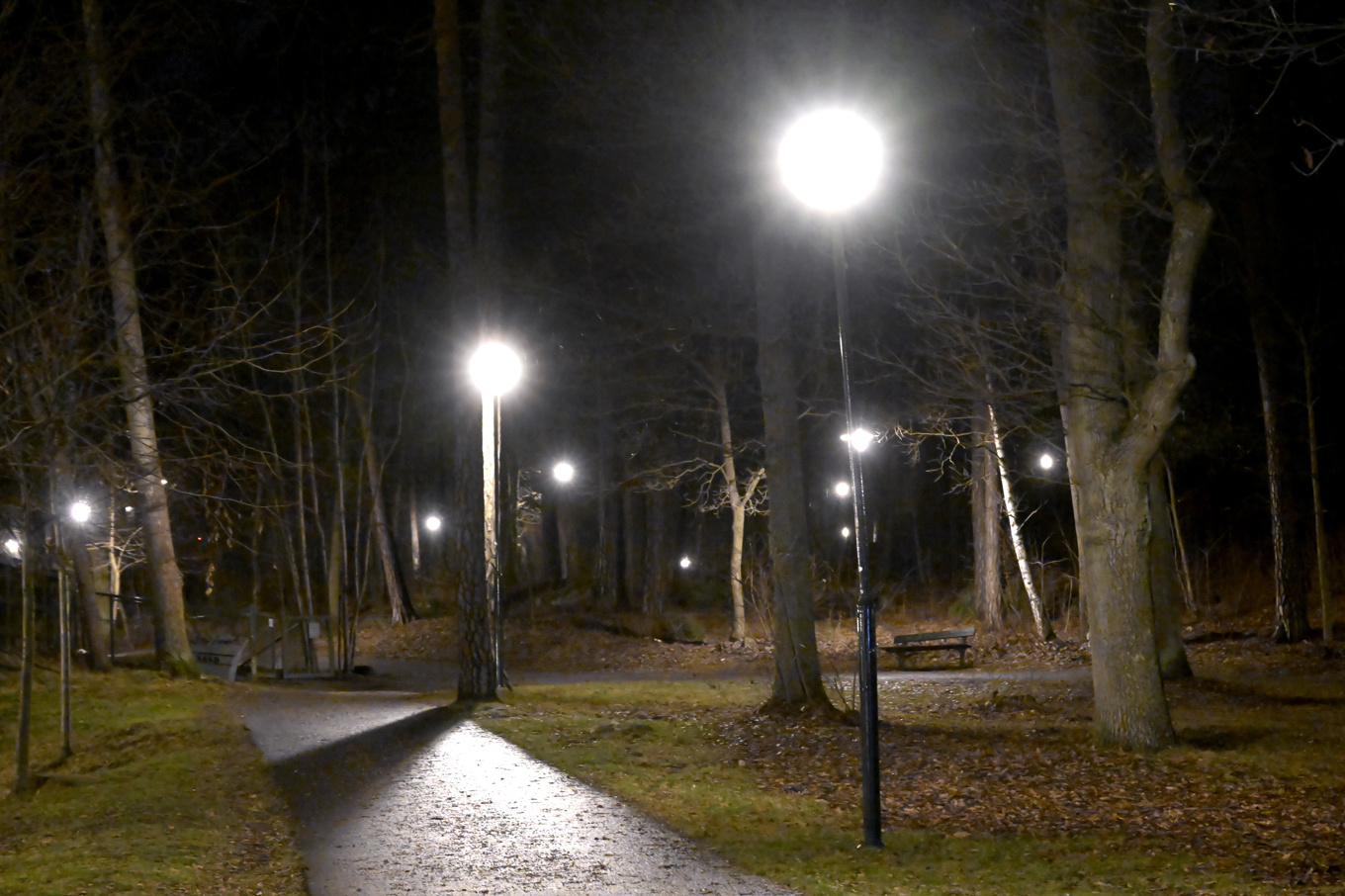 Våldtäkten ska ha skett vid en gångväg längs Nynäsvägen. Arkivbild. Foto: Janerik Henriksson/TT