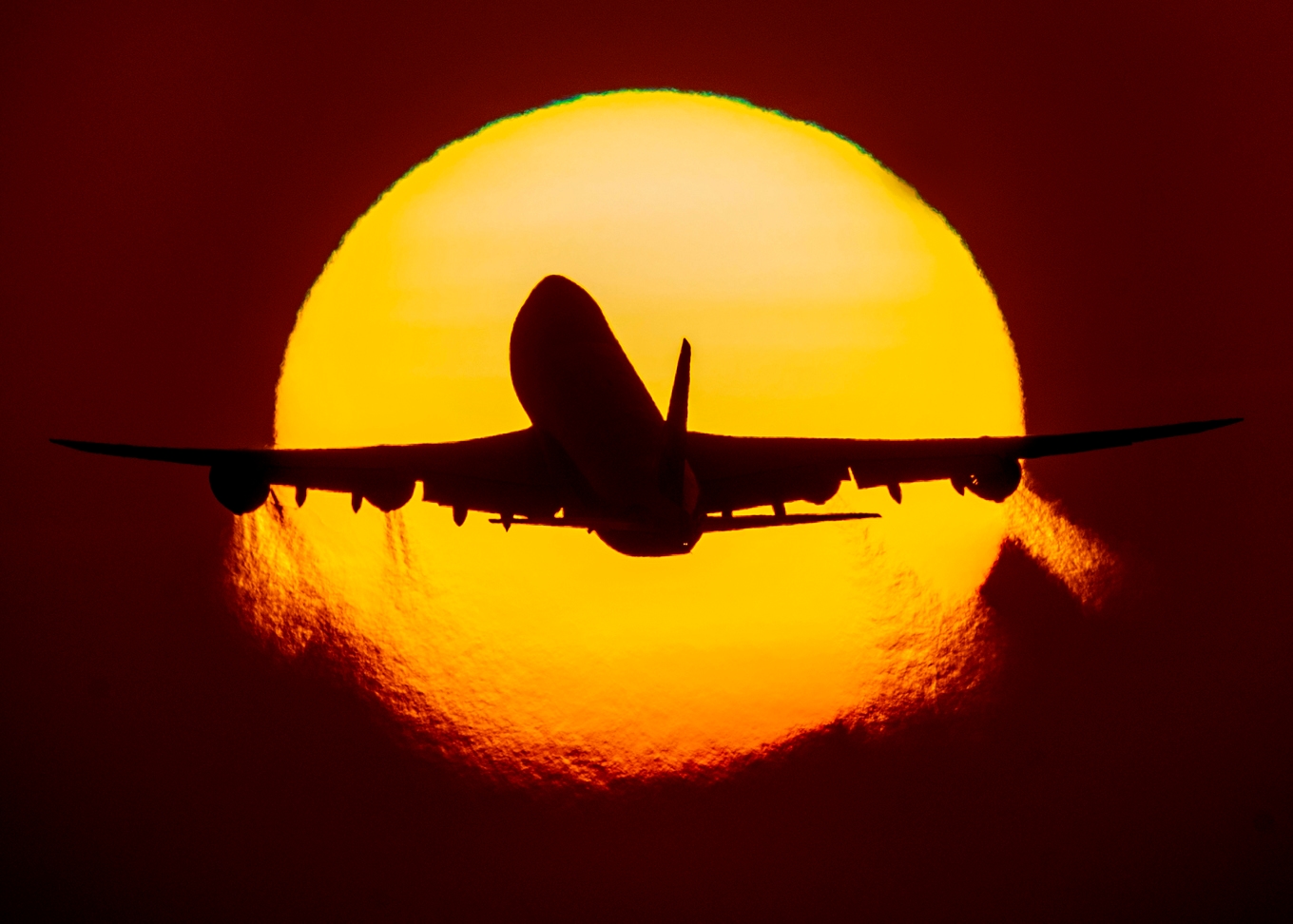 Flygandet ökde med två procent i juli i år jämfört med juli förra året. Arkivbild. Foto: Michael Probst/AP/TT