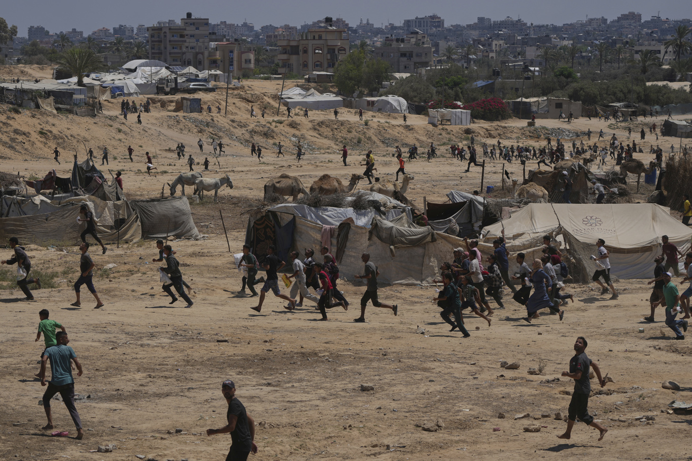 Palestiner skyndar för att samla proviant från hjälpsändningar som släppts från luften in i centrala Gaza. Foto: Abdel Kareem Hana/AP/TT