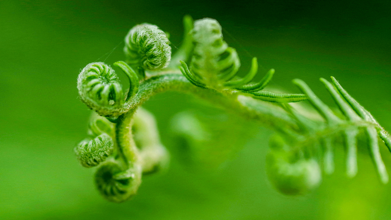 Det finns flera sätt att förklara den materiella existensen. Foto: Clémence Bonneaud