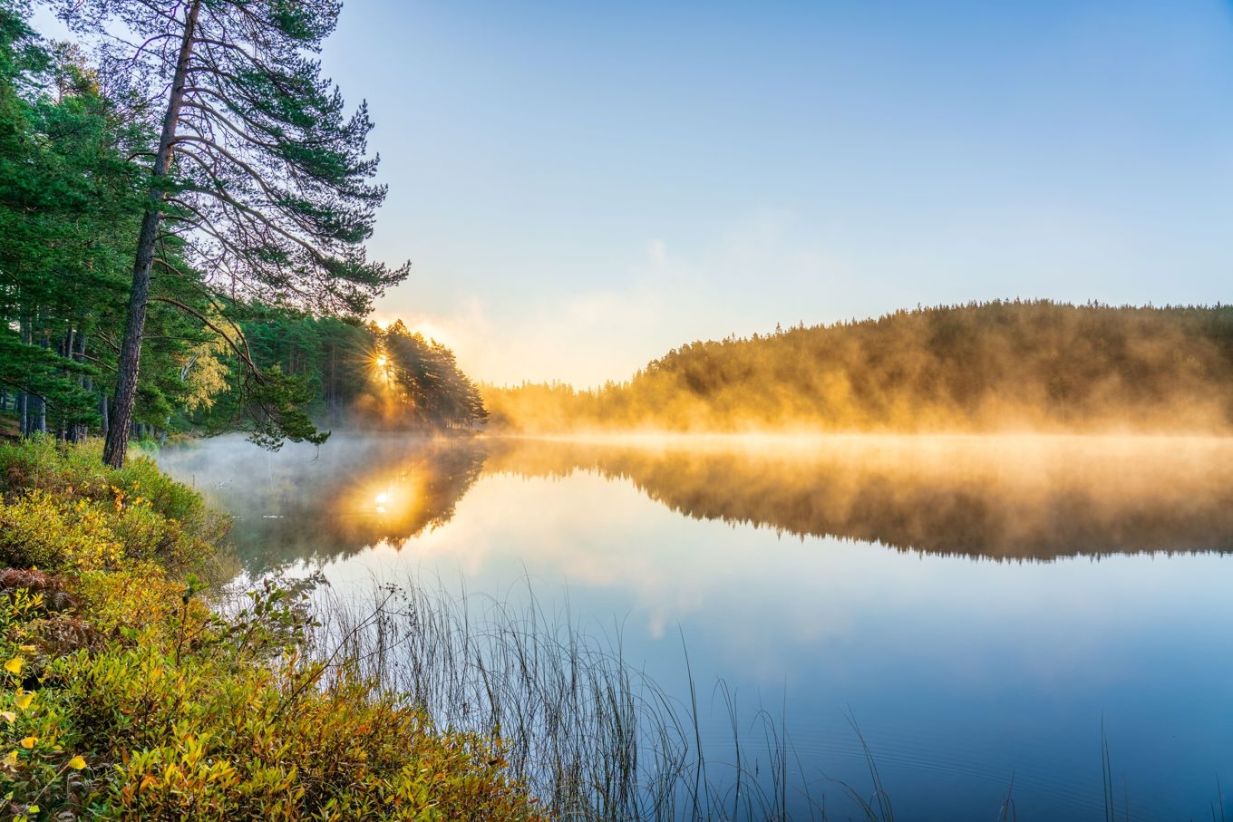 Varje tillfälle ger nya förutsättningar för kulningen. Foto: Pajor Pawel/Shutterstock