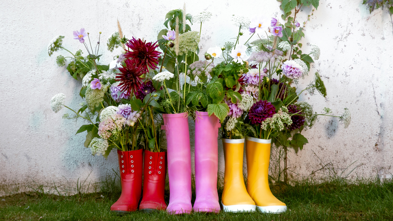 Under Sofieros Trädgårdsdagar kan besökare njuta av parkens blomsterprakt. Foto: Mattias Berglund