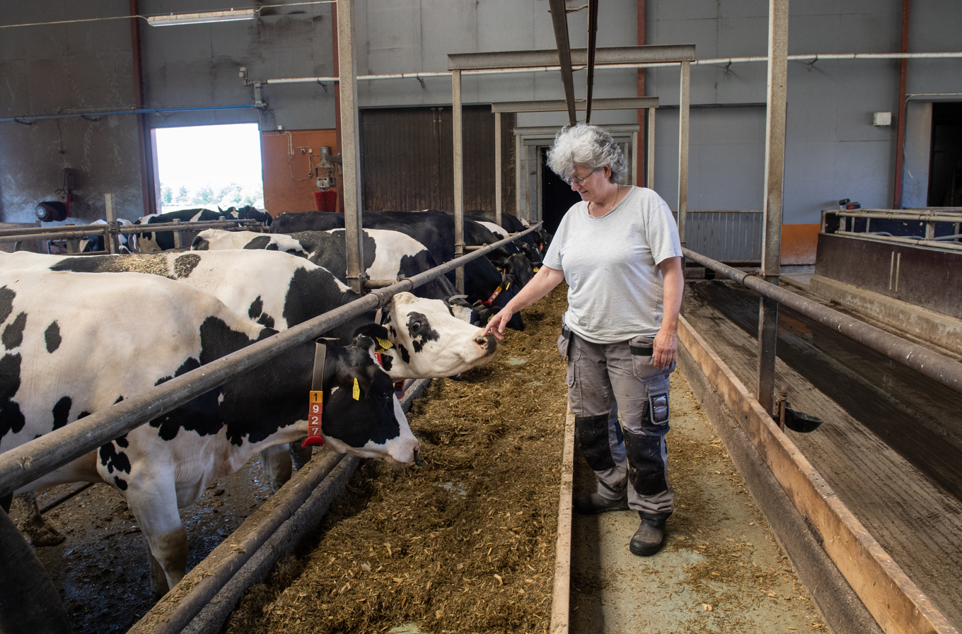 25 år av ekologisk mjölk är nu ett avslutat kapitel för bonden Ingrid Sommar. Foto: Anna Hållams/TT