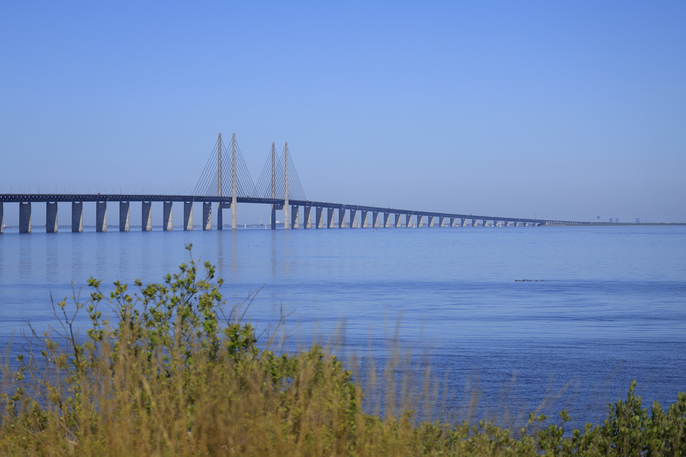 Öresundsbron. Arkivbild. Foto: Andreas Hillergren/TT