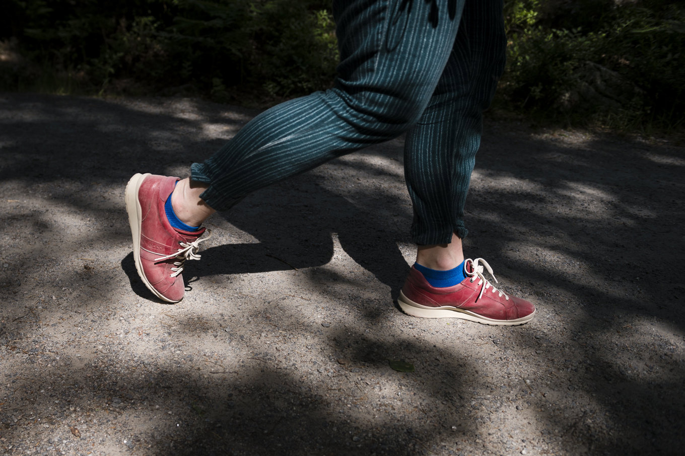 Att ta en lite längre promenad än vanligt kan vara en bra idé för den som har högt blodtryck. Arkivbild Foto: Vilhelm Stokstad/TT