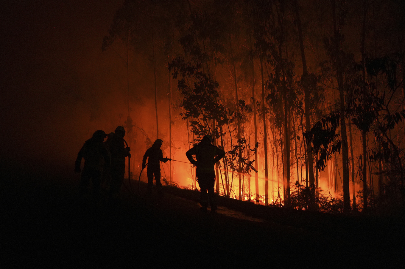 Räddningstjänsten bekämpar en skogsbrand i Fuente de Faro de Brantuas i Brantura i nordvästra Spanien. Bilden är tagen den 3 augusti. Foto: Gustavo de la Paz/AP/TT