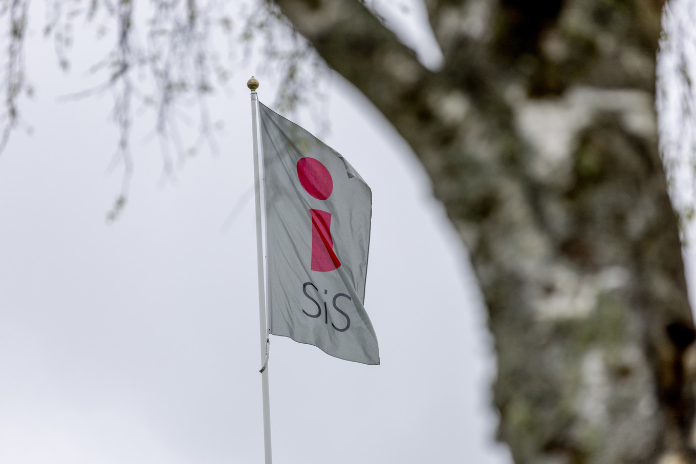 Barnrättsbyrån riktar kritik mot Sis och personalens användning av våld mot intagna barn. Arkivbild. Foto: Adam Ihse/TT