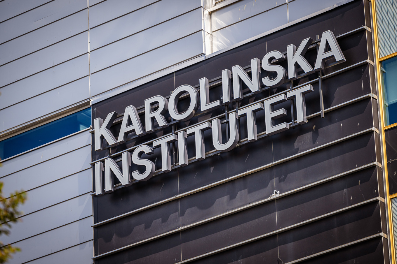 Karolinska Institutet har campusområden i Solna och i Flemingsberg, Huddinge. Arkivbild. Foto: Magnus Lejhall/TT