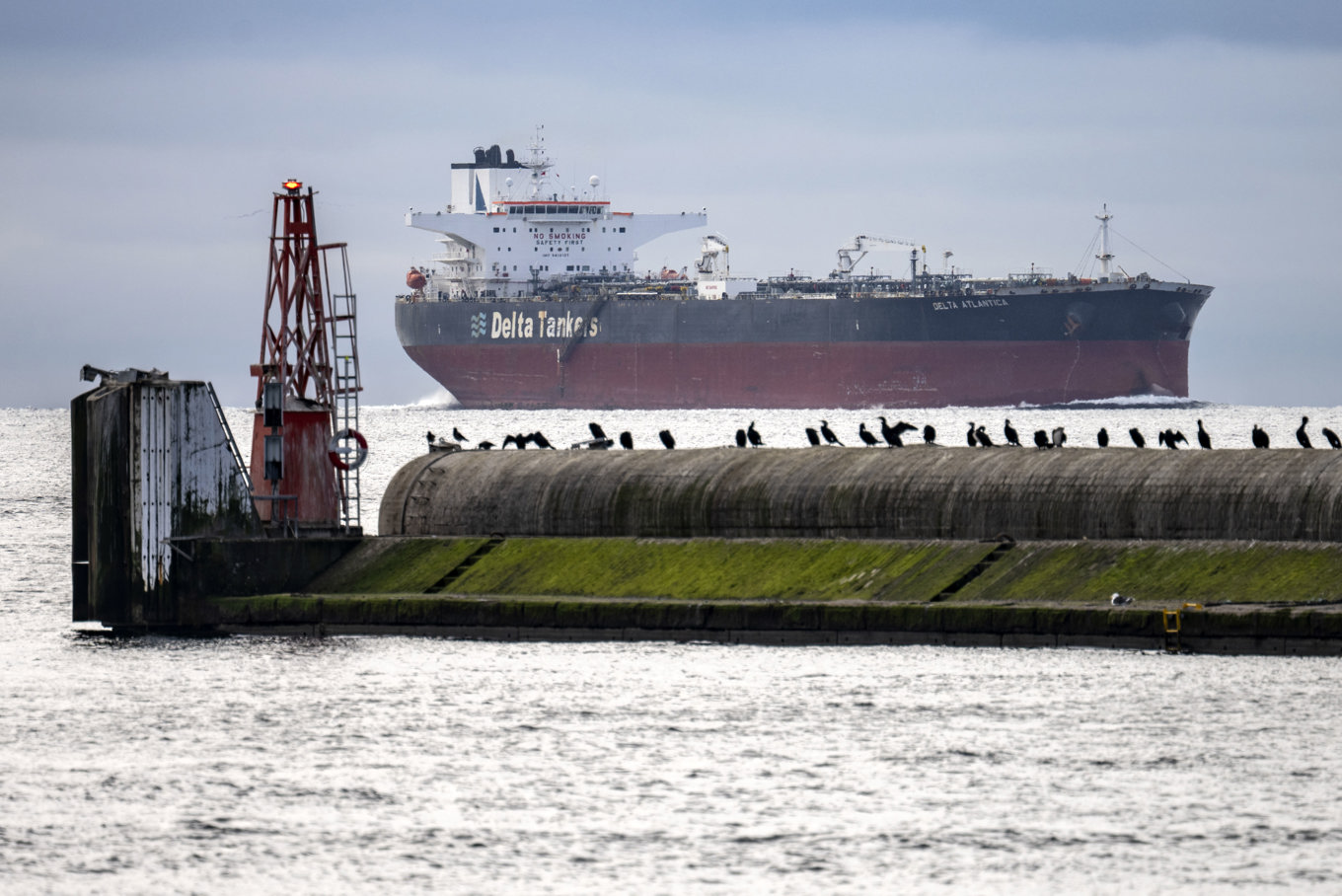 Antalet fartyg inom den svenska handelsflottan växer – men rekryteringen av sjöbefäl har svårt att hänga med. På bilden råoljetankern Delta Atlantica. Foto: Johan Nilsson / TT