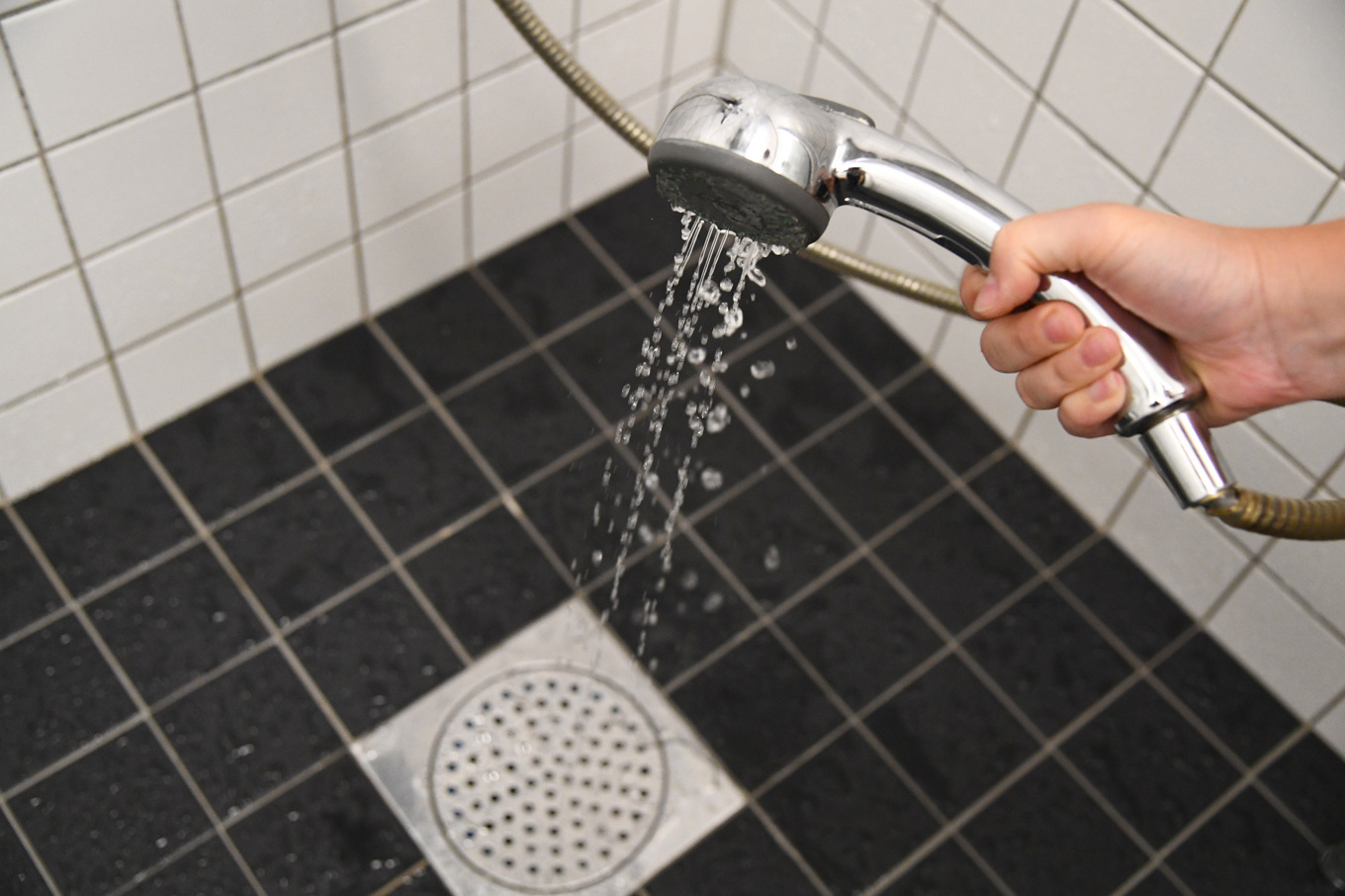 Stockholms stad uppmanar invånare att bland annat undvika bevattning, inte fylla poolen, tvätta och diska sparsamt och att ta korta duschar. Foto: Lars Schröder/TT