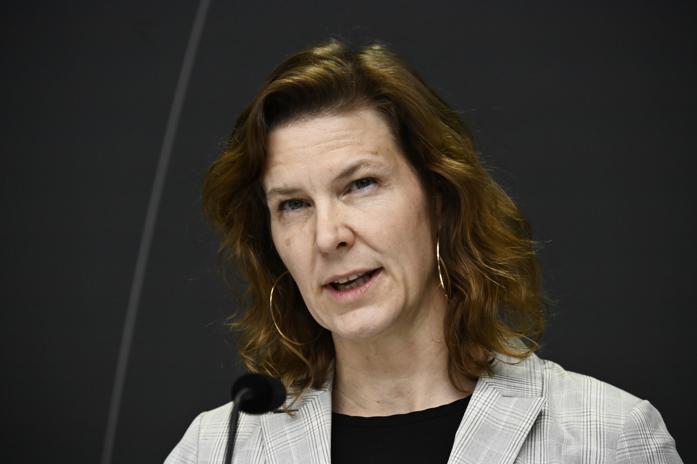 Jämställdhets- och arbetslivsminister Nina Larsson (L). Arkivbild. Foto: Henrik Montgomery/TT