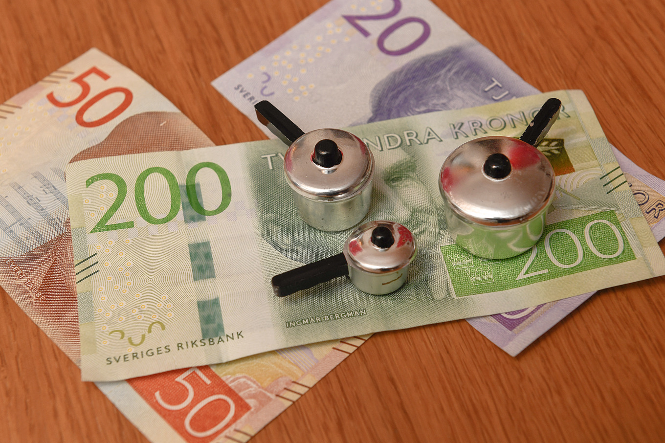 Goda utsikter för tillskott i hushållskassan. Arkivbild. Foto: Jonas Ekströmer/TT
