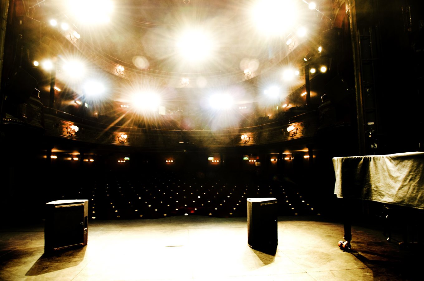 SVT:s Kulturnyheterna har varit i kontakt med 16 artister som uppger att de blivit lurade på pengar. Foto: Magnus Liam Karlsson / SvD / TT