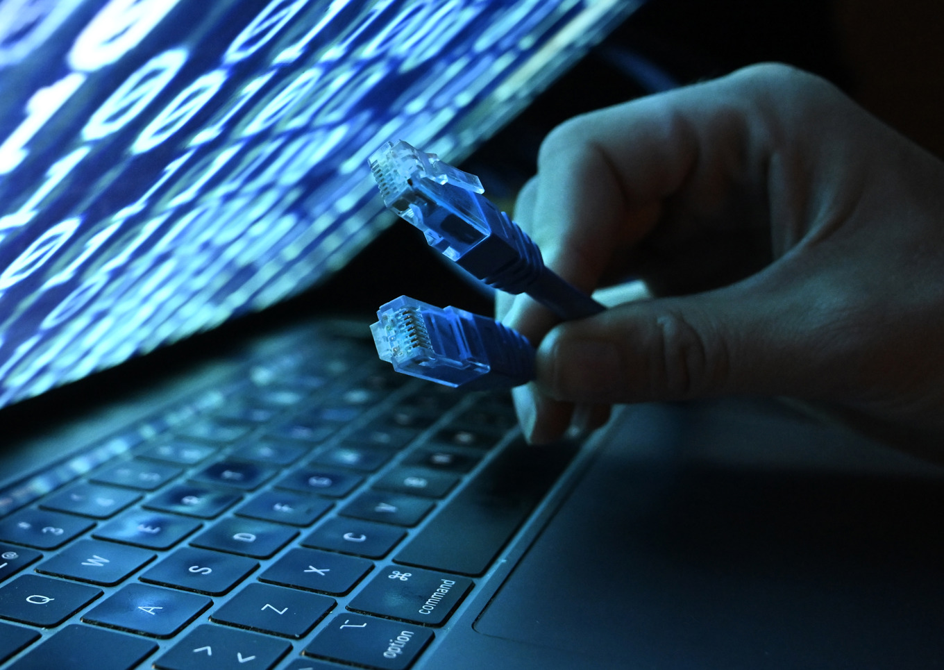 Känsliga personuppgifter kan ha läckt efter att systemdataleverantören Miljödata utsatts för en cyberattack. Arkivbild Foto: Fredrik Sandberg/TT