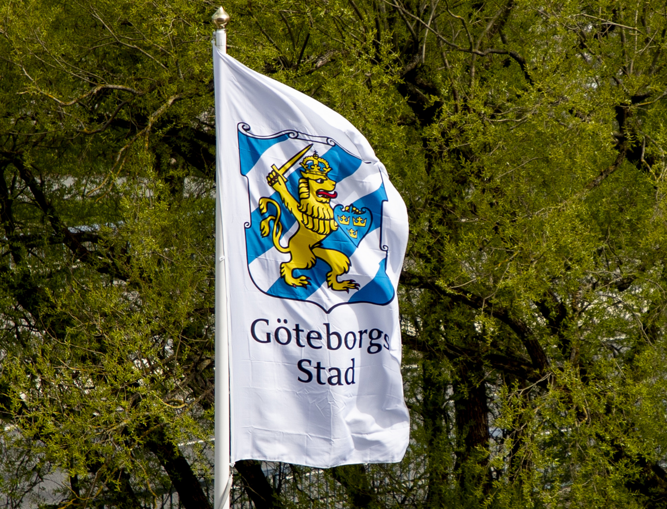 Göteborgs stad har upptäckt allvarliga brister och stoppar samarbetet med tio HVB-hem. Foto: Adam Ihse/TT