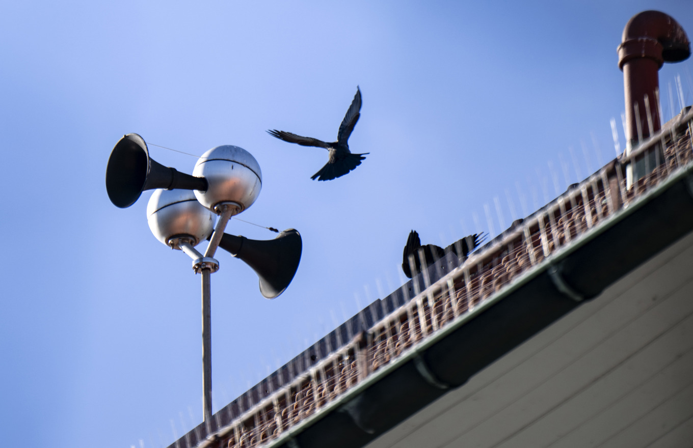 Signalen från Hesa Fredrik ska ljuda klockan 15 den första helgfria måndagen en gång per kvartal. Arkivbild. Foto: Johan Nilsson/TT